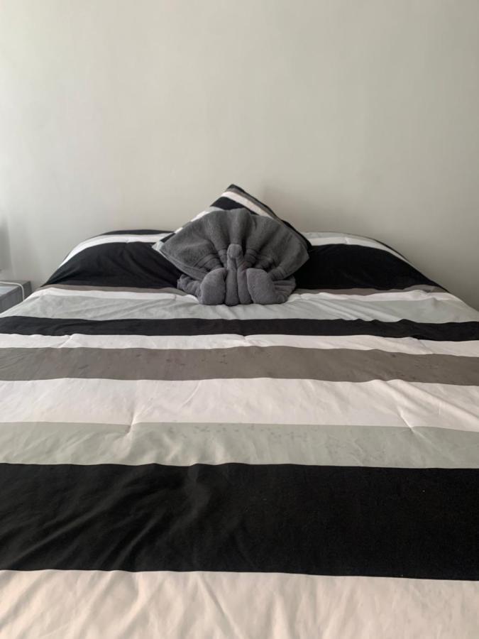 Hermoso Departamento En Coyoacan Città del Messico Esterno foto